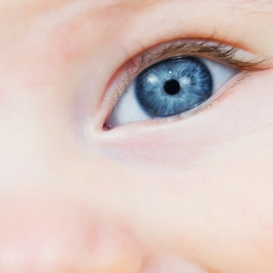 Shell Vision Baby Understanding Your Baby's Amazing Senses: A Guide to Infant Vision and ...