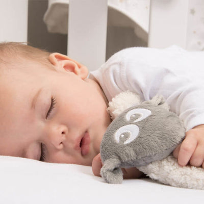 sleep tips for newborns