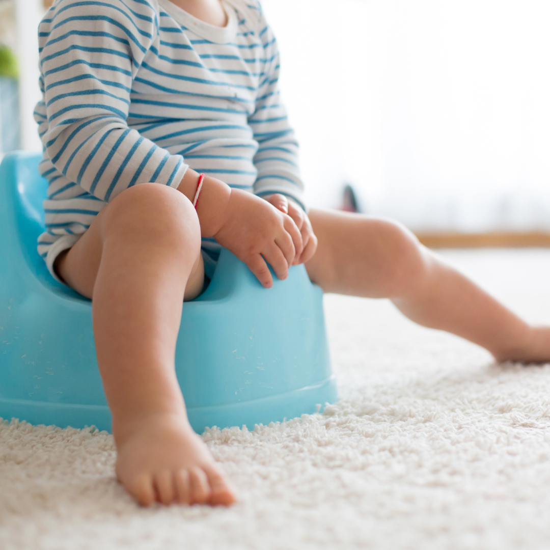 Potty Training 101: Navigating the Journey with Your Little Explorer